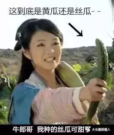 黄瓜电影，励志成长之旅，从银幕到内心的触动之旅