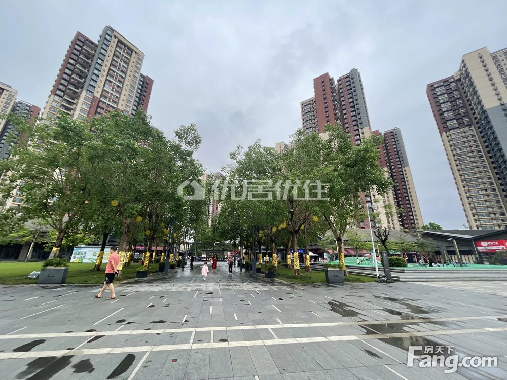 万科第五城最新动态揭秘，最新消息汇总✨