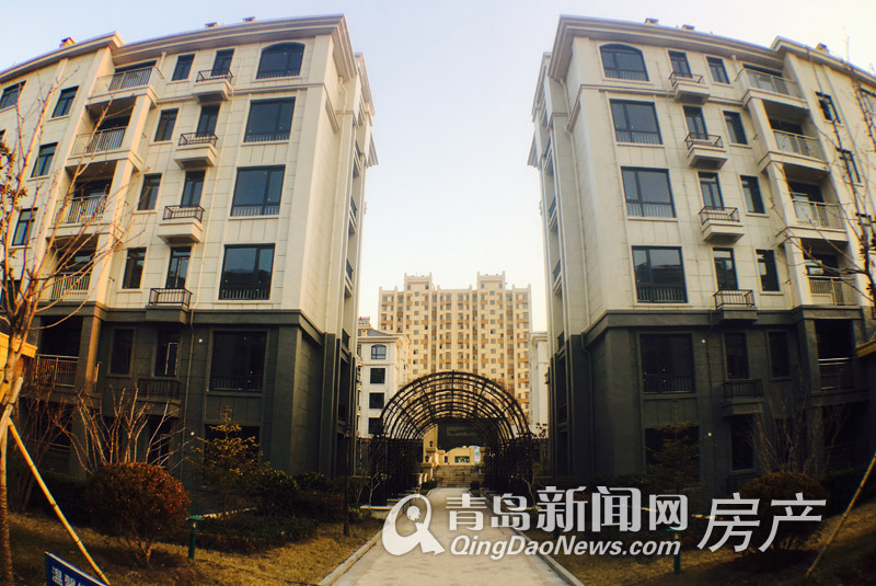 紫城御都最新动态揭秘，小巷深处的隐藏瑰宝