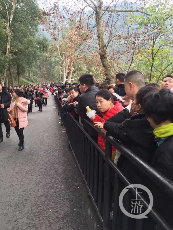 广东限外地车最新动态，启程自然美景探索之旅