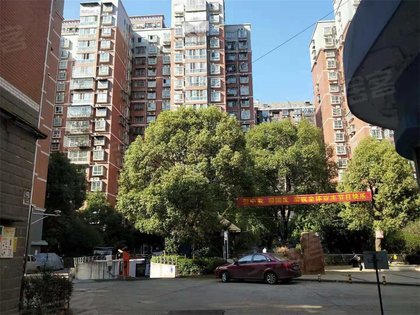 嵊州东城名苑最新动态，变化中的力量与学习带来的自信与成就感