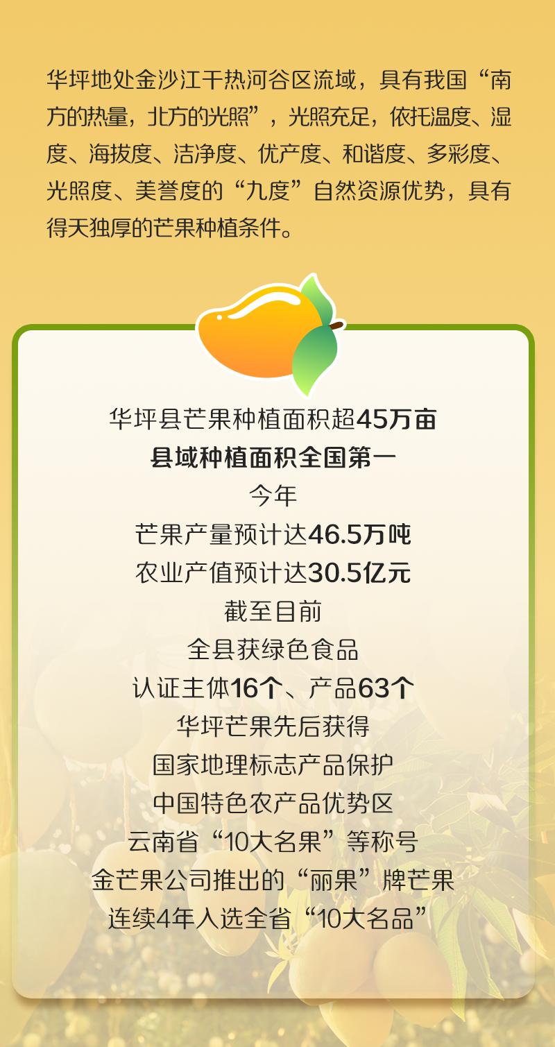 盘溪水果搬迁最新动态，详细步骤指南及最新消息速递