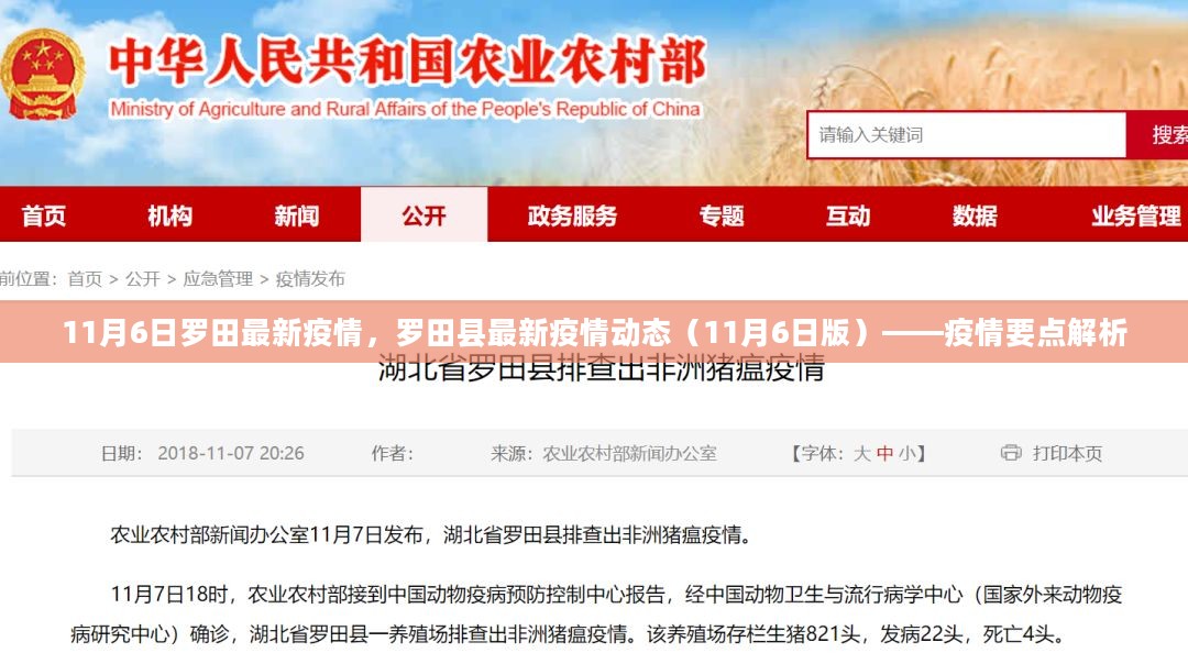 罗田最新疫情进展，科技助力健康守护，点亮生活之光