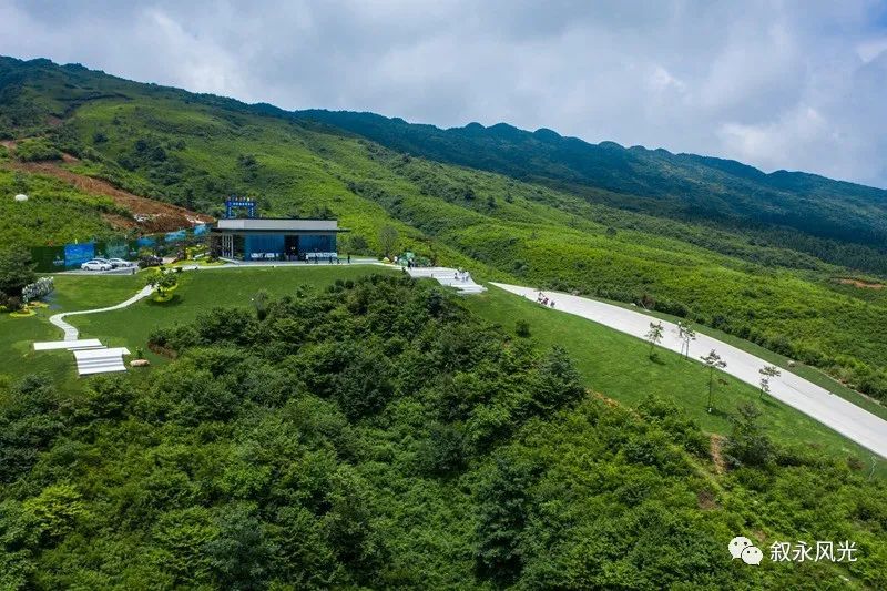罗汉林最新动态揭秘，前沿探索与独特魅力的展现