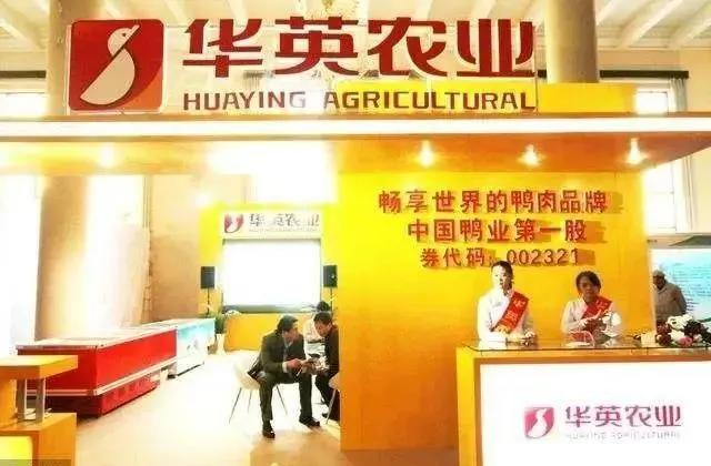 股票转增最新步骤指南解析
