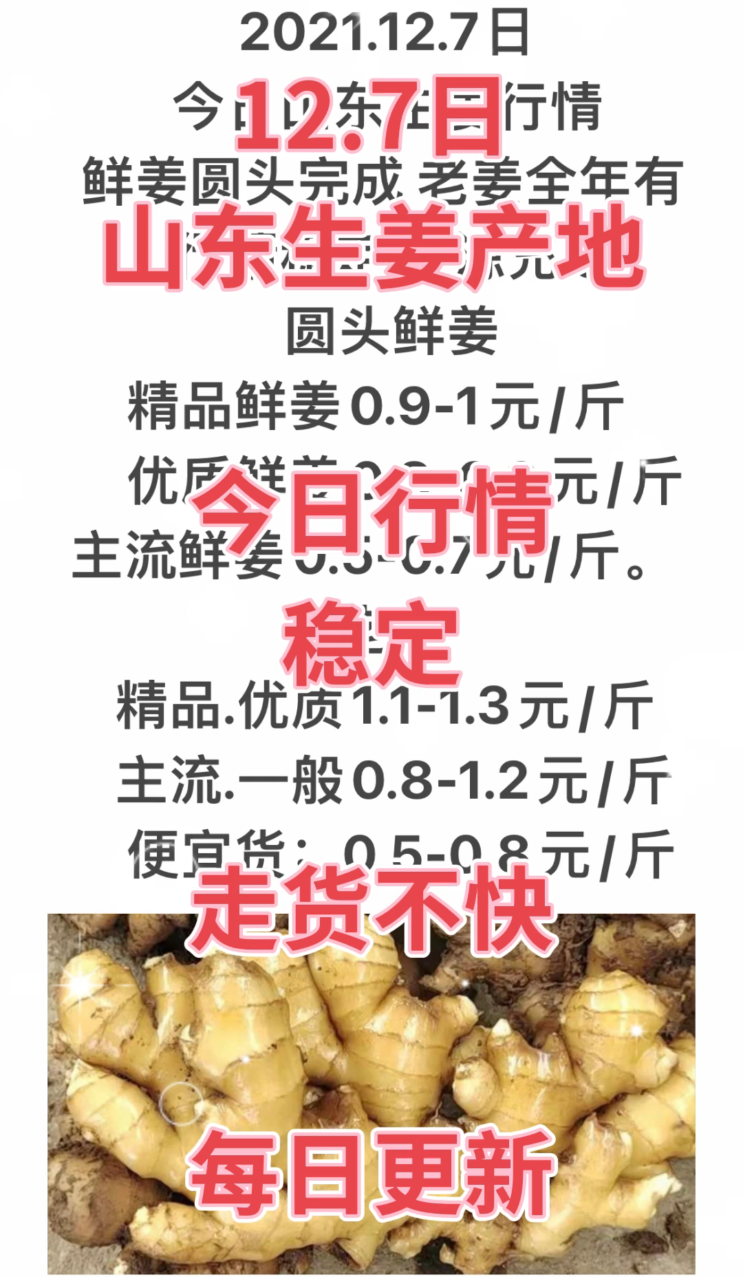 安丘大姜最新价格变化背后的机遇与成长励志之旅