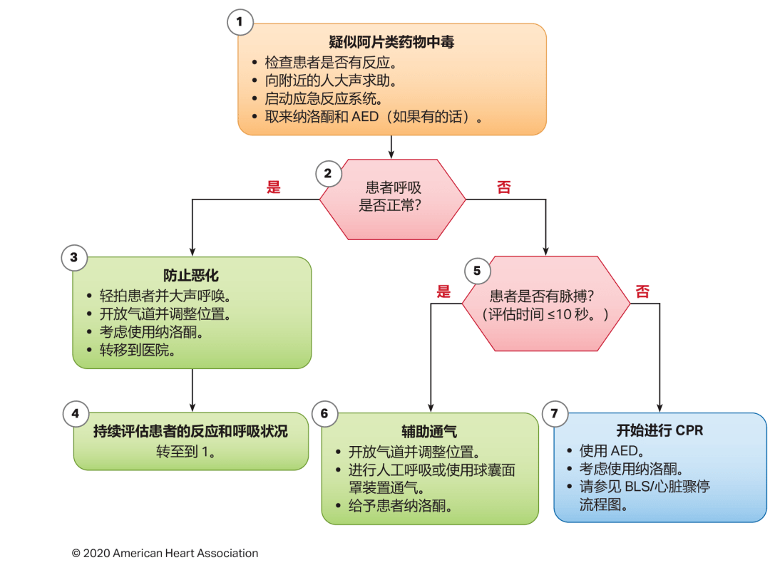 心肺复苏的新篇章，意外遇见与生命的守护之道