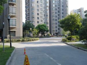 全椒租房信息最新详解，租房步骤指南与房源推荐