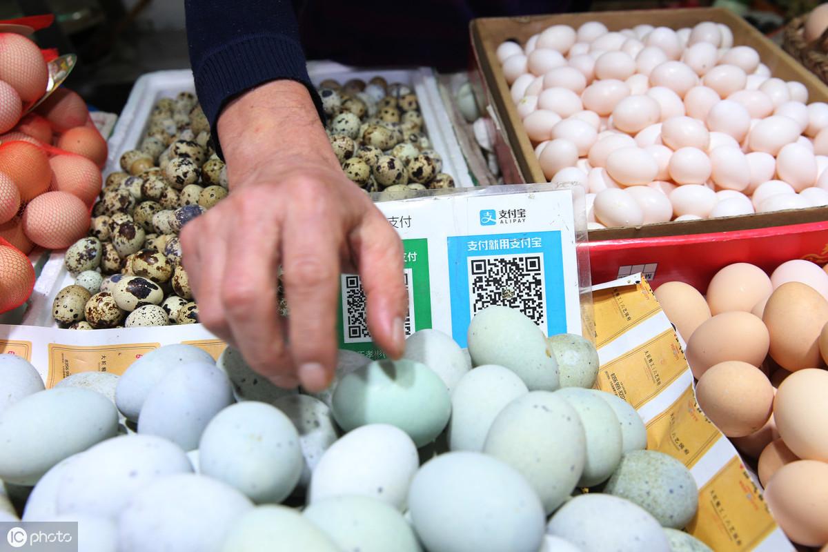 食品打假最新案例，重塑行业信任之战