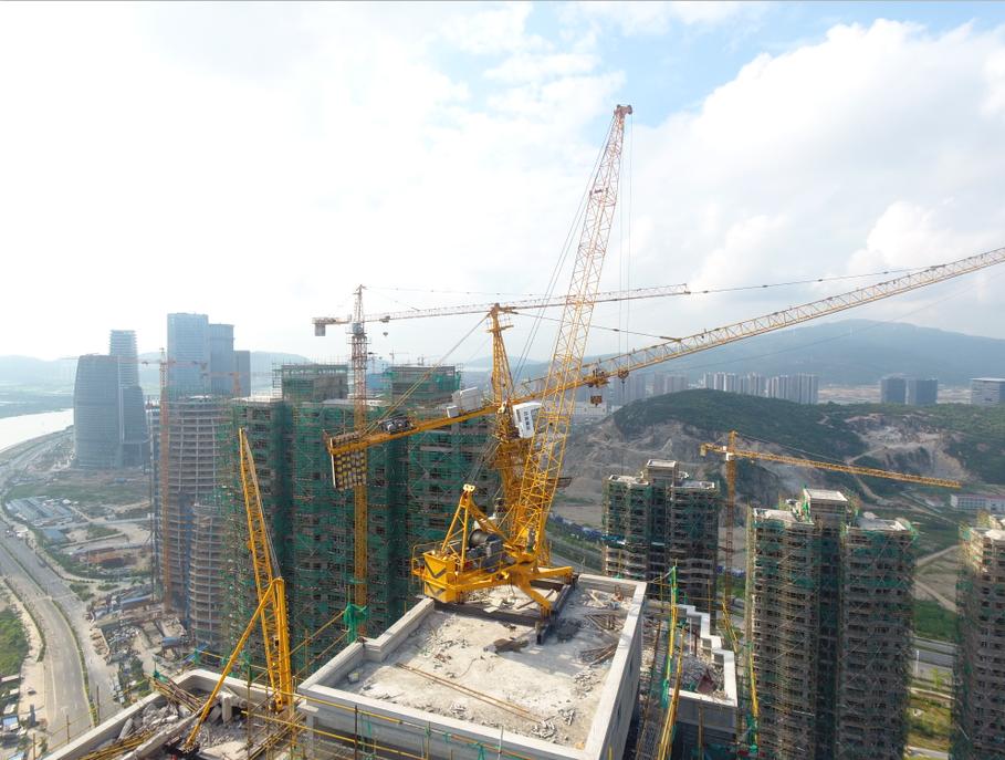 台风天鸽最新消息，自然美景鼓舞之旅的追踪报道