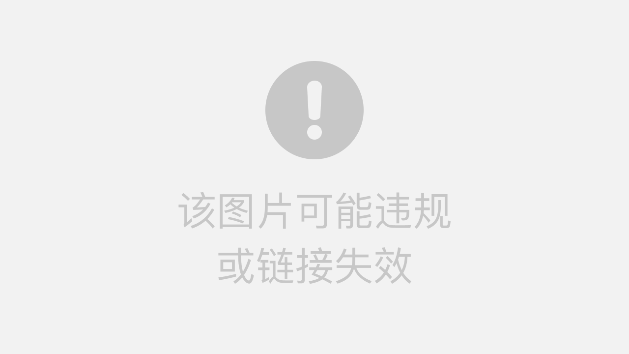 NET最新版本，自然美景探索之旅，宁静与喜悦的邂逅